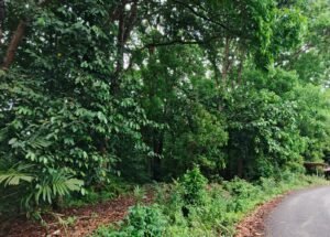 Warga Muncang Pertanyakan Realisasi TJSL Perhutani, Asper Jelaskan Mekanisme dan Regulasi Program CSR