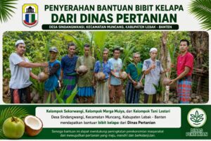 Kelompok tani di Desa Sindangwangi menunjukkan bantuan bibit kelapa yang diterima dari Dinas Pertanian.