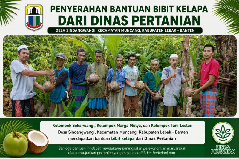 Kelompok tani di Desa Sindangwangi menunjukkan bantuan bibit kelapa yang diterima dari Dinas Pertanian.