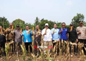 Wagub Banten Achmad Dimyati mengapresiasi Panen Raya Jagung KNPI Lebak yang memperkuat ketahanan pangan dan mendukung kegiatan sosial.Sumber: Pemprov Banten