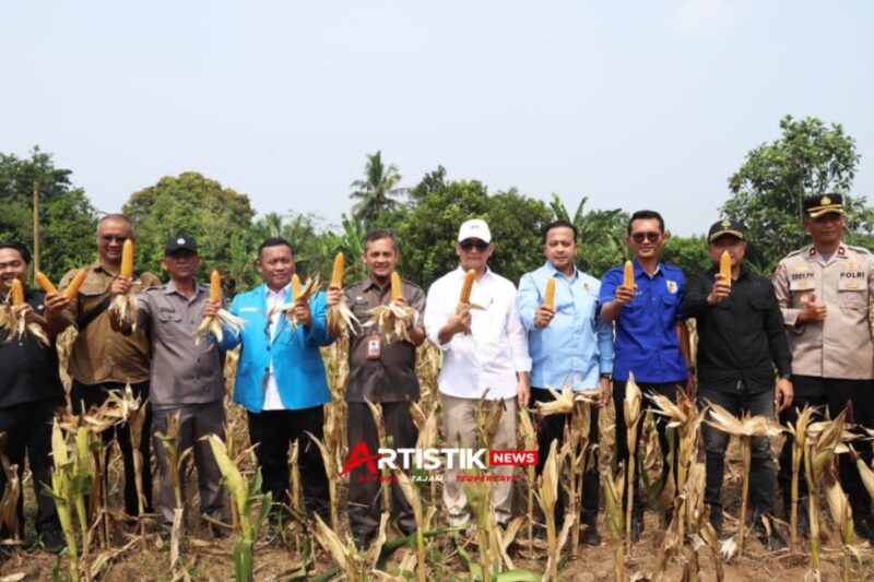 Wagub Banten Achmad Dimyati mengapresiasi Panen Raya Jagung KNPI Lebak yang memperkuat ketahanan pangan dan mendukung kegiatan sosial.Sumber: Pemprov Banten