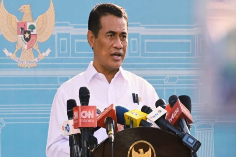 Pemerintah Pastikan Stok Beras Nasional Aman, Antisipasi Dampak El Nino Godzilla Diperkuat