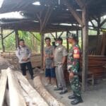 Satpol PP tindaklanjuti tumpukan kayu Muncang-Sobang