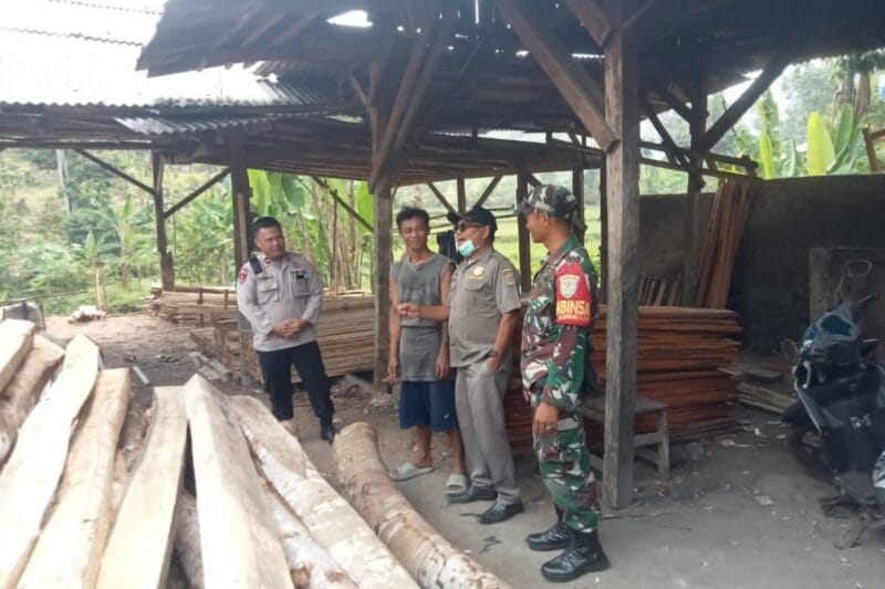 Satpol PP tindaklanjuti tumpukan kayu Muncang-Sobang