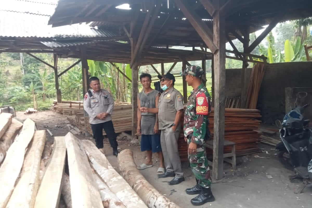 Satpol PP tindaklanjuti tumpukan kayu Muncang-Sobang